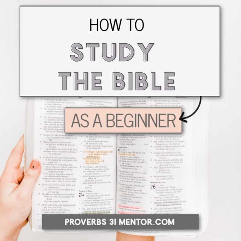How to Study the Bible for Yourself as a Beginner