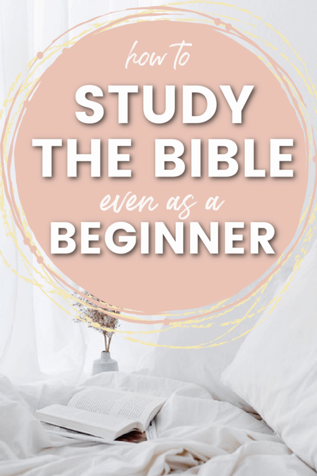 How to Study the Bible, Even as a Beginner