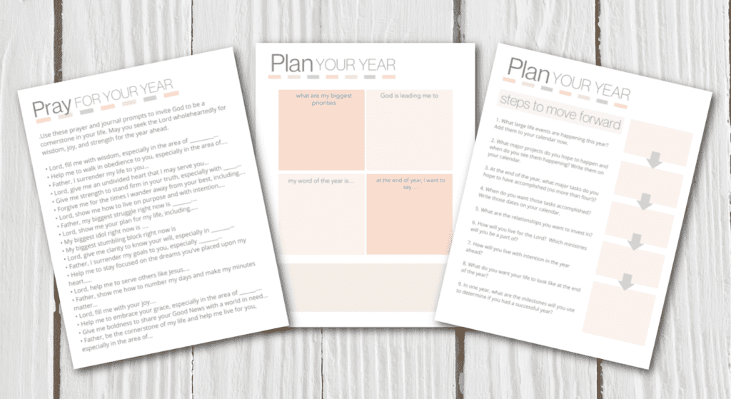 pictures of the pray, plan, do system in the Abundant Life Planner