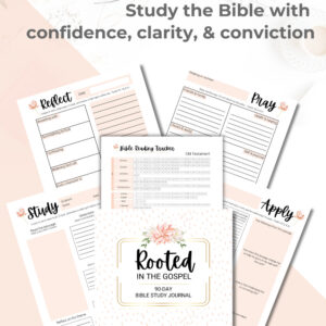 The mockup of the pages in the Rooted in the Gospel Bible Study journal