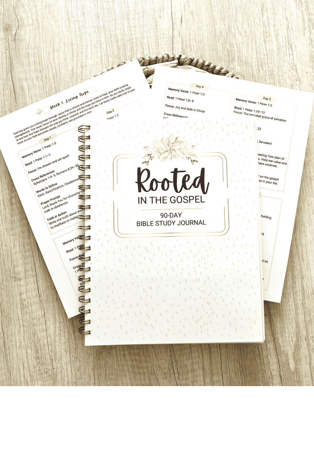 Rooted Life Bible Study System special offer